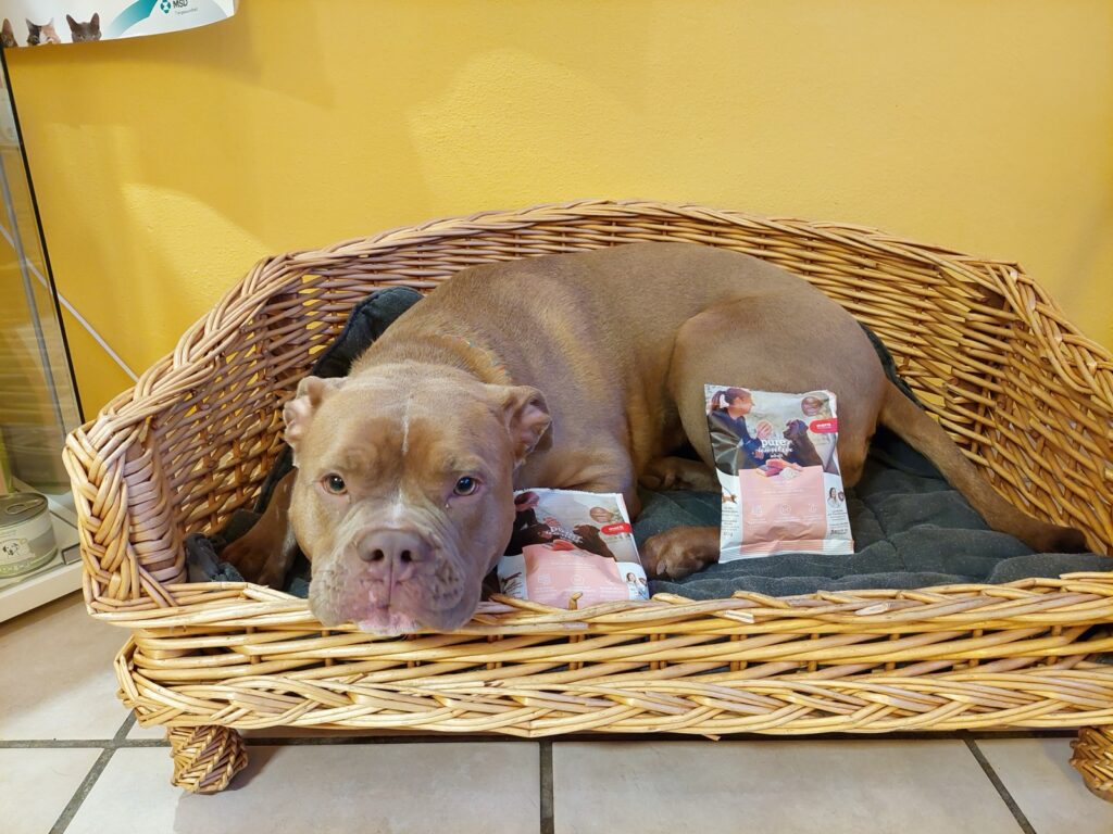 Hund in der Tierarztpraxis mit einer Mera Pure Sensitiv Produktprobe